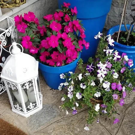 Guest house Casa Birre Guesthouse *