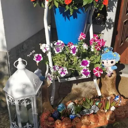 Casa Birre Pensión