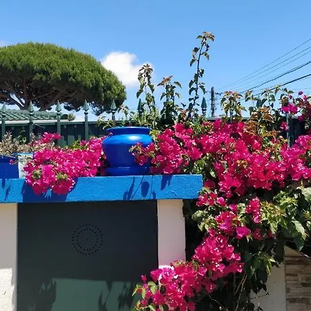 Pensión Casa Birre *